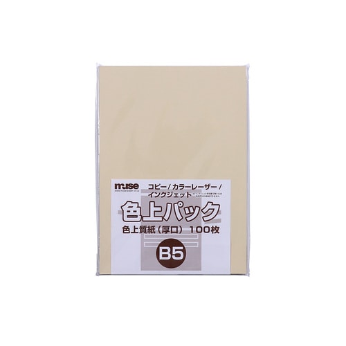 色上質紙 厚口 B5 100枚入 肌 4セット