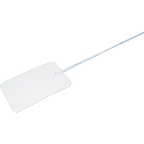 未来 カラーエフR (プラスチック製・線名札) 縦