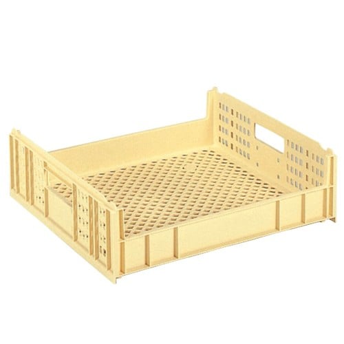 サンテナーD #36(クリーム)