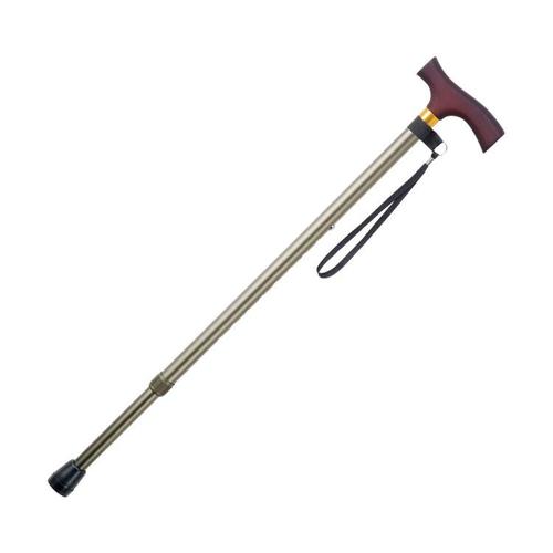 エコノミーステッキ(伸縮・太身)