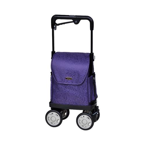 アイカートネオ