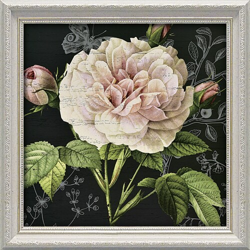 デボンロス レストレーションローズ1