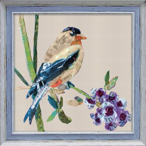 エリザベスサンティレール ゴールドフィンチ1