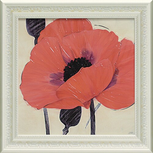 アイボ イグズーベラントポピー