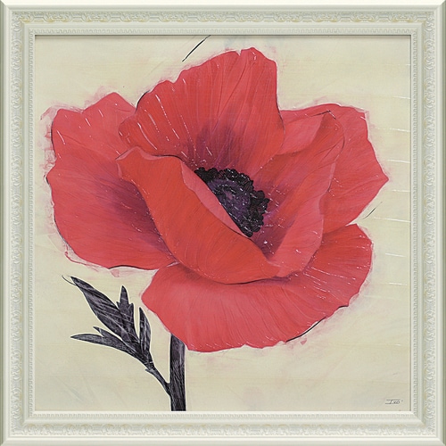 アイボ ジュービラントポピー