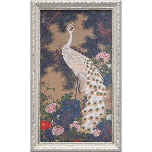 伊藤若冲 老松孔雀図