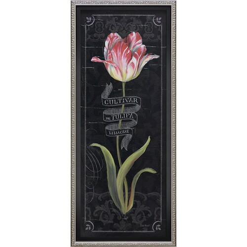 リサオーディット チュリパボタニカ3