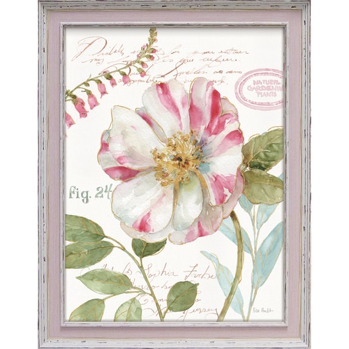 リサオーディット レインボーシードボタニカル2