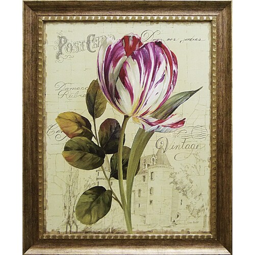 リサオーディット ガーデンビューチューリップ2