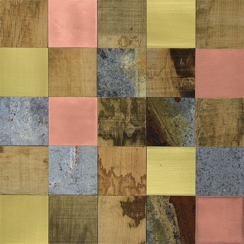 プラデック バリアス Lサイズ