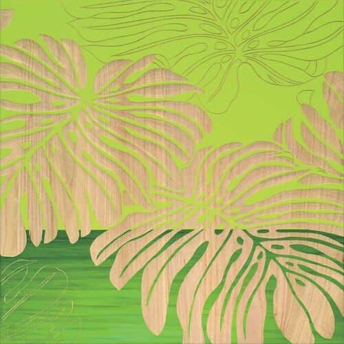 Wスカルプチャー ワイルドモンステラGR+NP