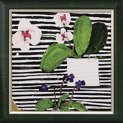 スーザンブラウン ホットハウスオーキッド