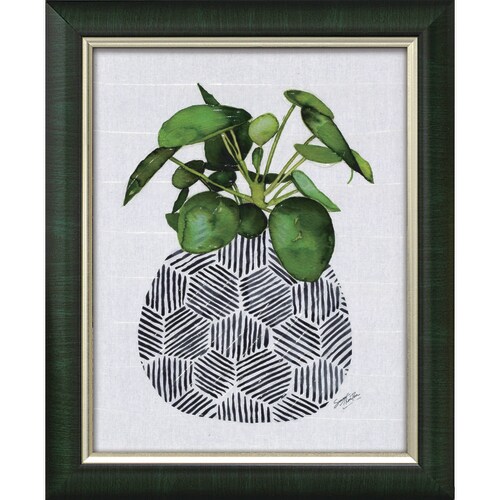 サマーソーントン チャイニーズマネープラント