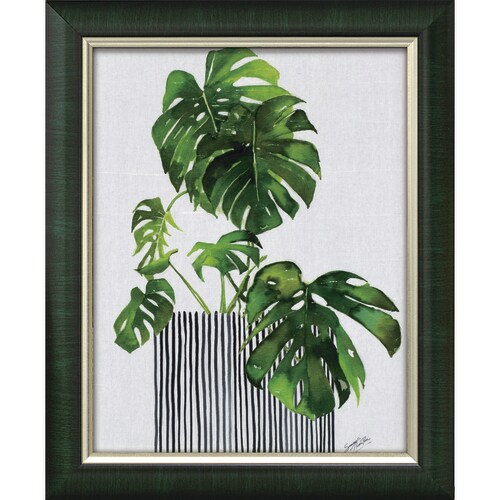 サマーソーントン スイスチーズプラント