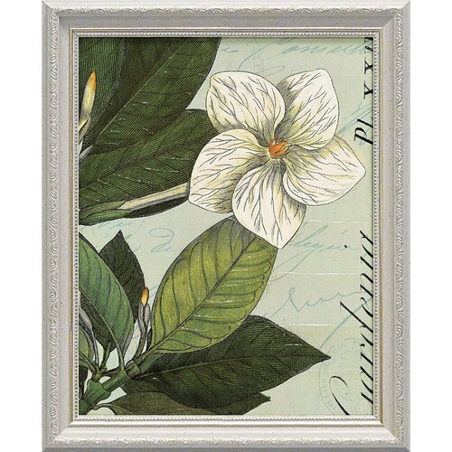 ワイルドアップルスタジオ ボタニークブルー3