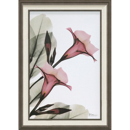 XRAYアート トランペットフラワー Mサイズ