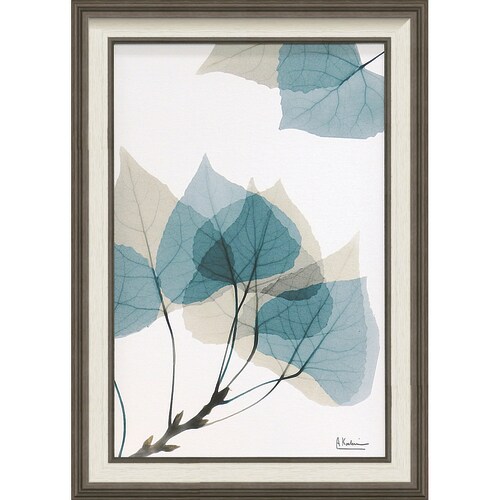 XRAYアート リーフ1 Mサイズ