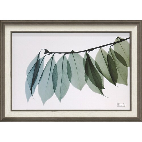 XRAYアート リーフ2 Mサイズ