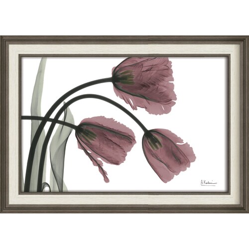 XRAYアート フリンジチューリップ Mサイズ