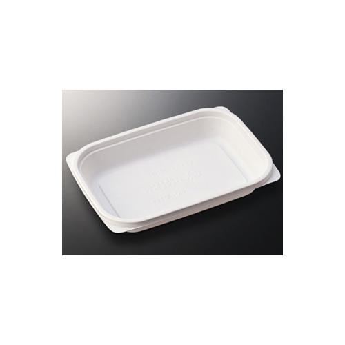 CTデリカン18−13F 身 T 4セット