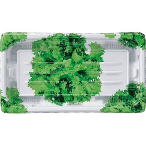 MSDプレイン20−11(20)白リーフ ×20