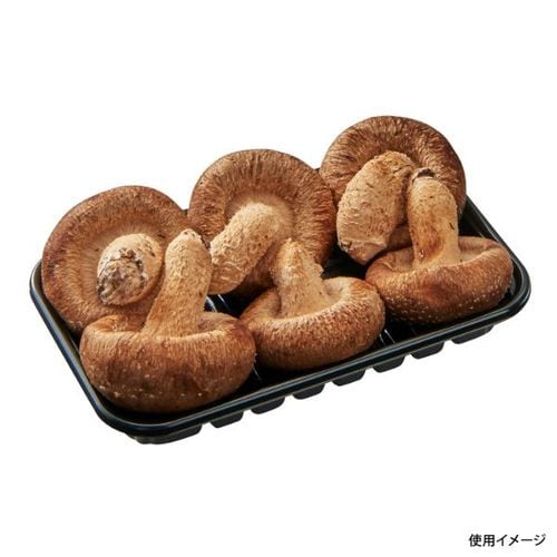 椎茸 3号L BK 30セット