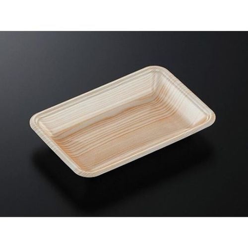 トレーCN20−13F 木曽内(L) 21セット