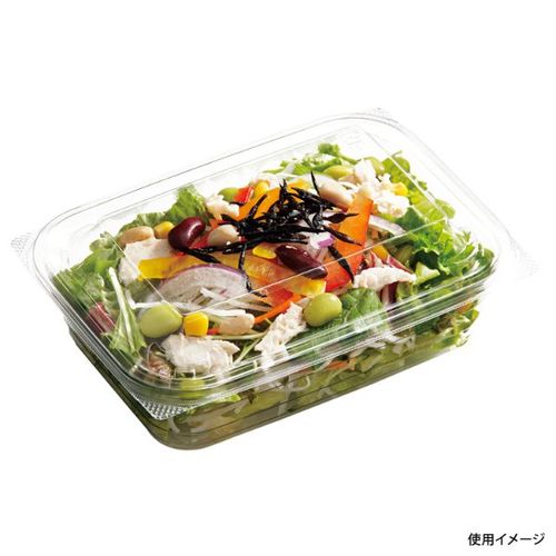 C−AP FVS 18−13 身 12セット