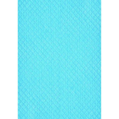 吸水スポンジクロス2 ブルー