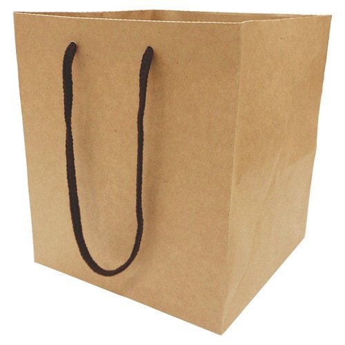テイクアウト用クラフト紙袋L 1パック(10枚入)