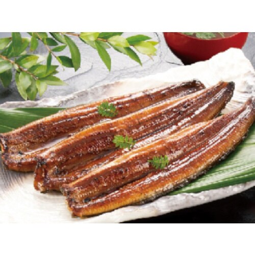 【冷凍】マルマうなぎ蒲焼き 3尾(計360g)