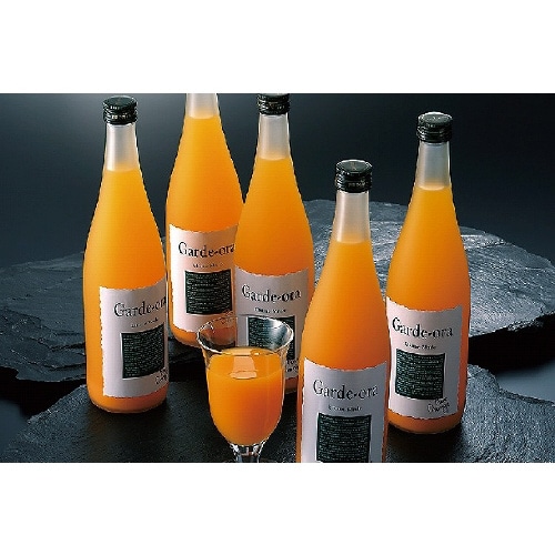 ガーディ・オレ・スペシャル 1セット