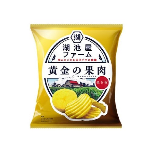 湖池屋 湖池屋ファーム 黄金の果肉 焼き塩 55g