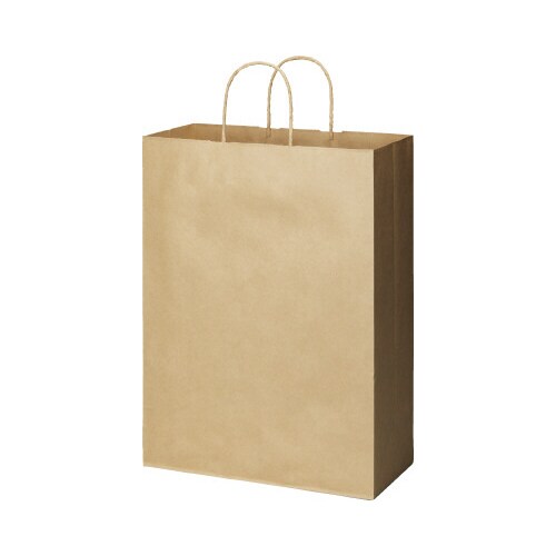 丸紐手提げ袋スタンダード茶(未晒)LL 50枚×3