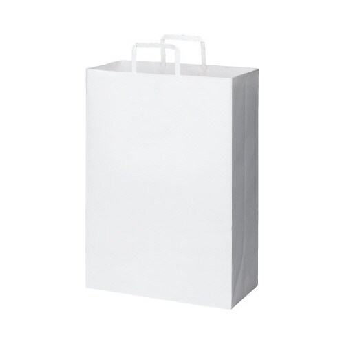 紙袋 平紐 白 スタンダード LL 50枚×6