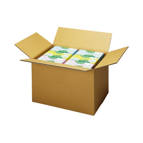 無地ダンボール厚手 No.5−2(底面3L)10枚