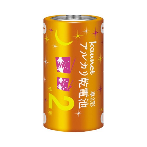 アルカリ乾電池エコノミータイプ単2形 10本