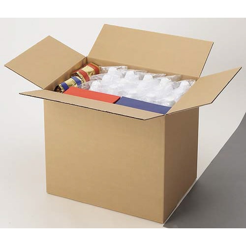 無地ダンボール No.5−3(底面3L) 10枚