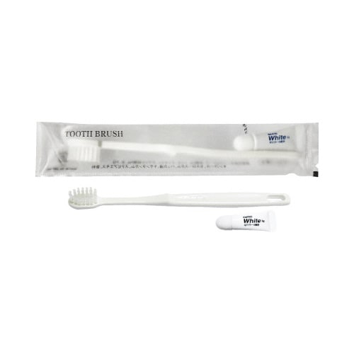 歯ブラシ袋入 250本入