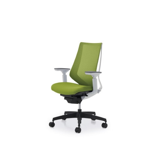 デュオラメッシュ白樹脂脚 可動肘ライトオリーブW