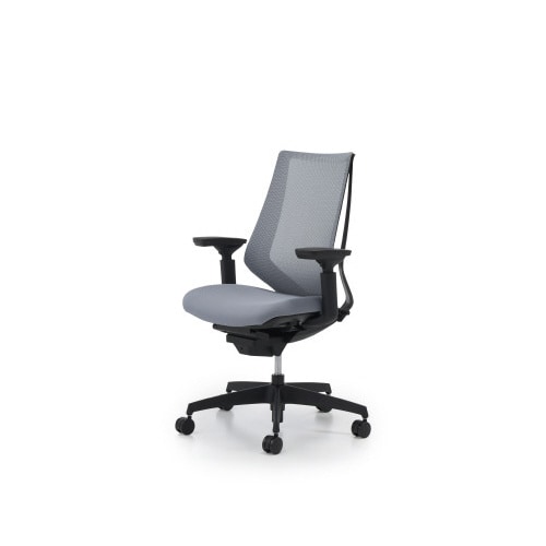 デュオラメッシュ黒樹脂脚 可動肘 Sグレー W