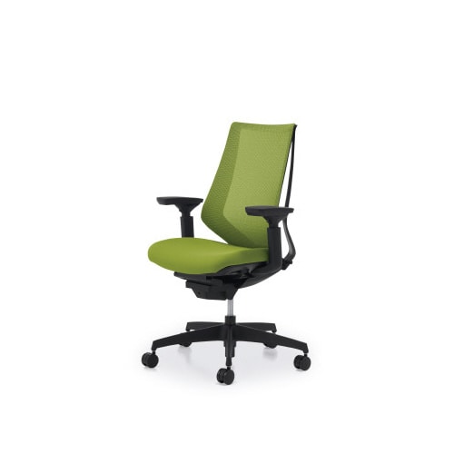 デュオラメッシュ黒樹脂脚 可動肘ライトオリーブW