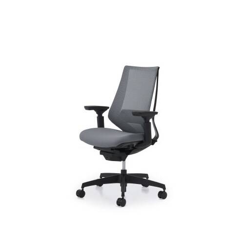 デュオラメッシュ黒樹脂脚ランバー可動肘SグレーW