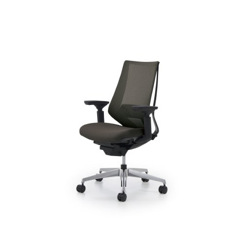 デュオラメッシュ黒アルミ脚ランバー可動肘DグレーW