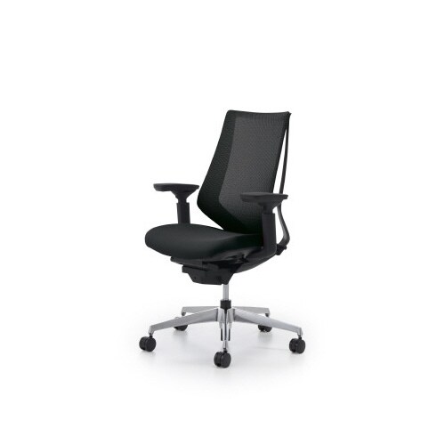 デュオラメッシュ黒アルミ脚 可動肘ブラックW