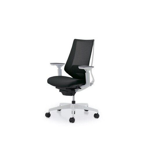 デュオラメッシュ白樹脂C脚ランバー可動肘ブラックW