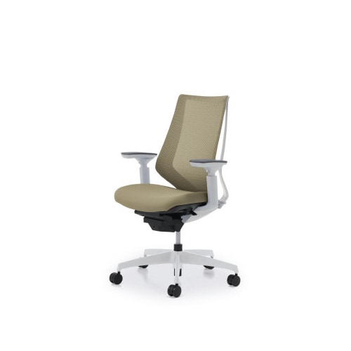 デュオラメッシュ白樹脂C脚 可動肘Sベージュ W