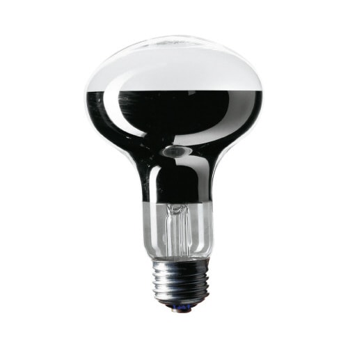 レフ電球(屋内用) E26 100形