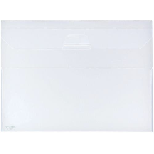 クリヤーホルダー<キャリー>PP A4 透明×5冊