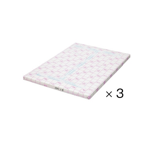 コピー用紙 タイプ2 A2 1冊(250枚)×3